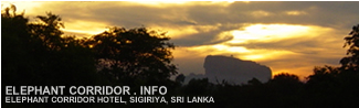 InternetHolidaysBiz offer queen of Sri Lanka hotels five star boutique hotel Elephant Corridor hotel facing Sigiriya rock fortress amidst world heritage sites of Sri Lanka cultural triangle